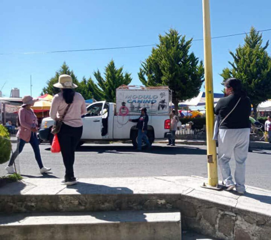 Ignoran municipios Ley de Bienestar Animal en Tlaxcala