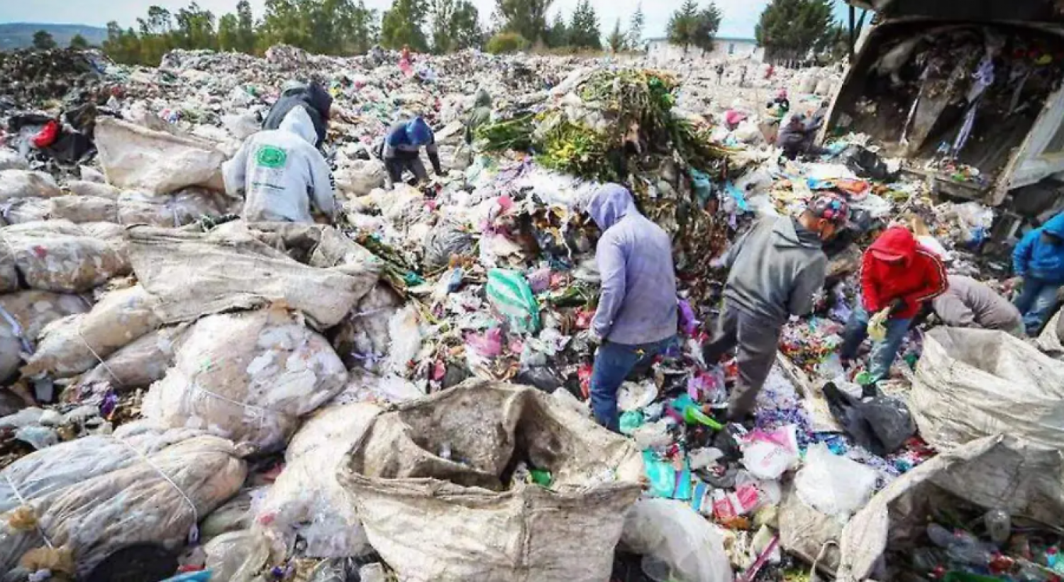 Panotla impulsa plan integral de apoyo social y laboral a 200 familias afectadas