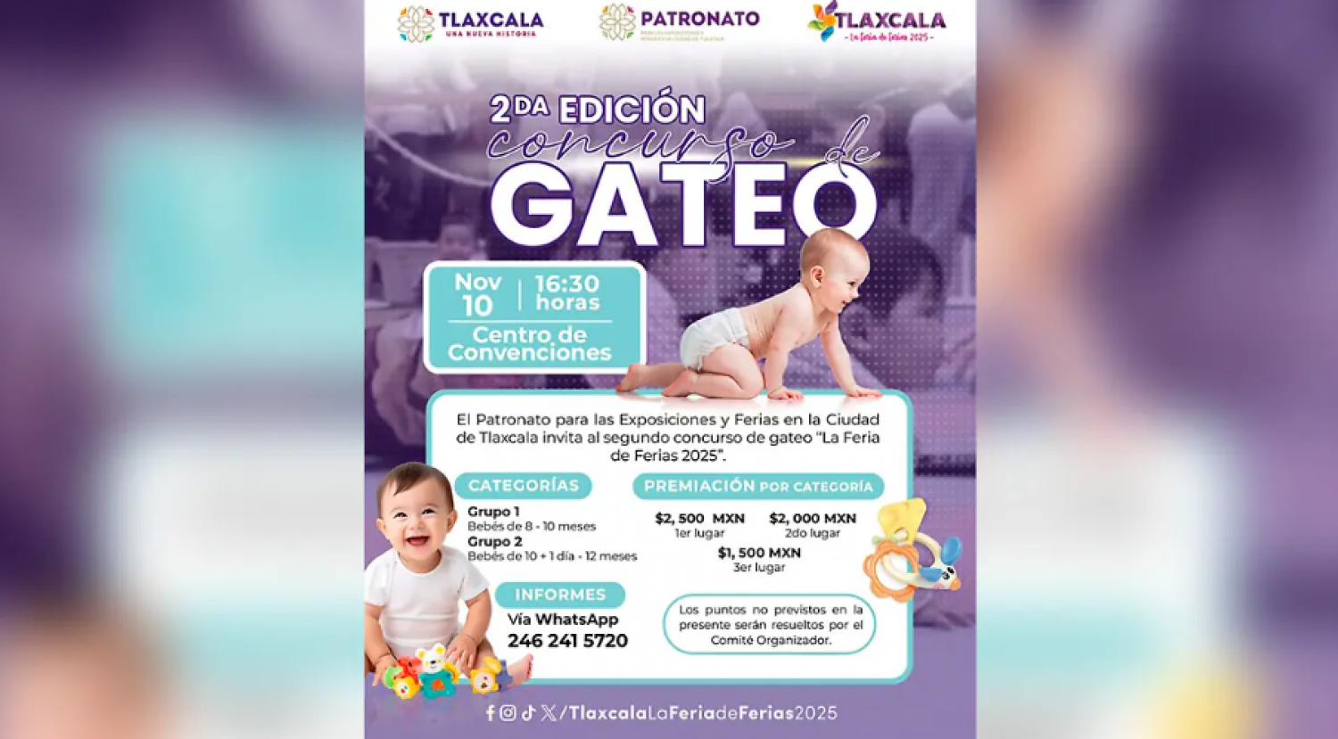 Segunda edición del Concurso de Gateo en Tlaxcala con grandes premios