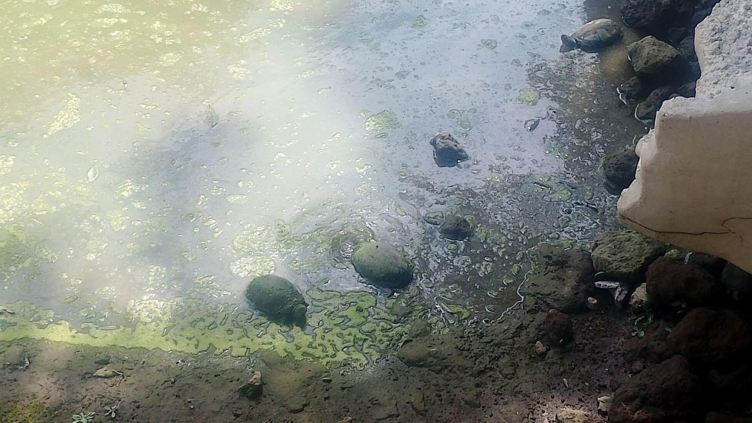 Niega Zoológico del Altiplano instalaciones en malas condiciones