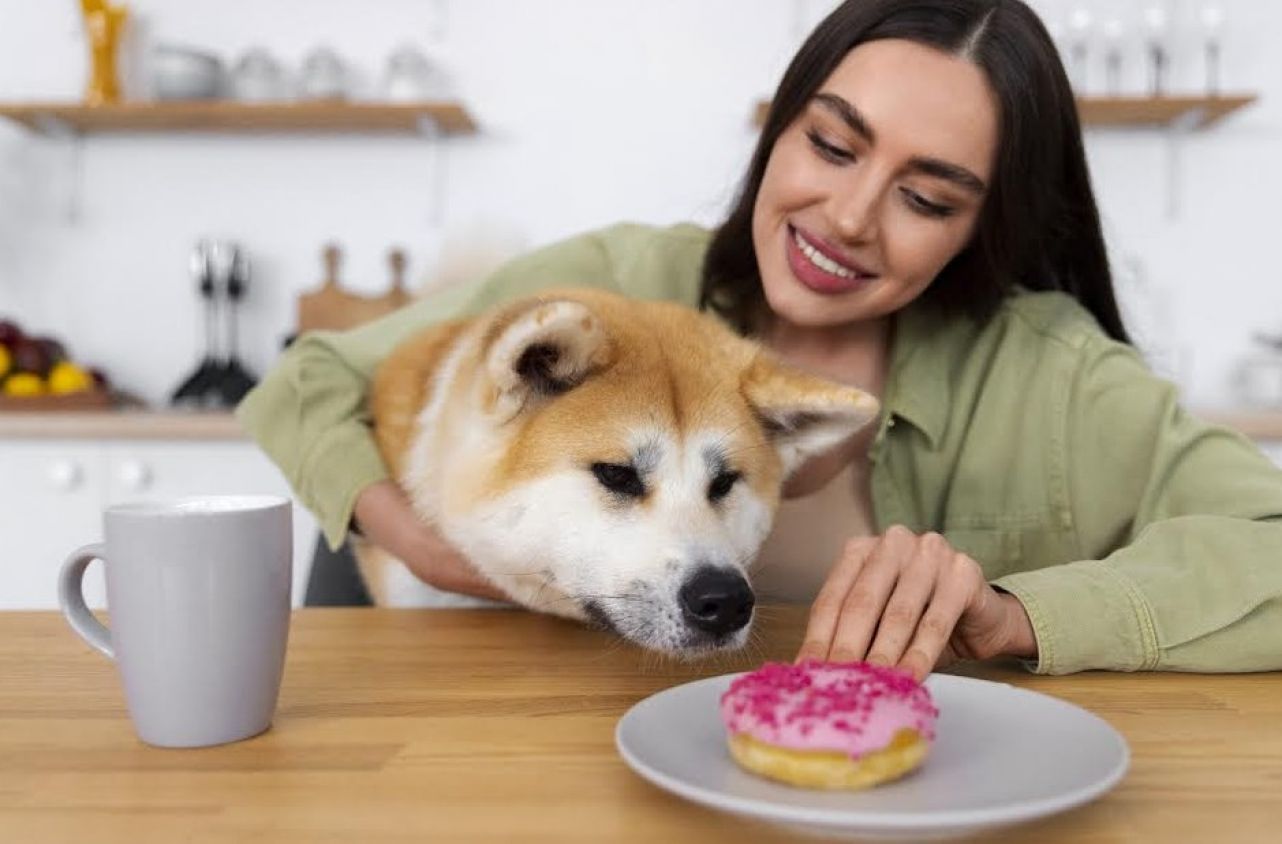 Día de la Obesidad en Mascotas: una alerta necesaria