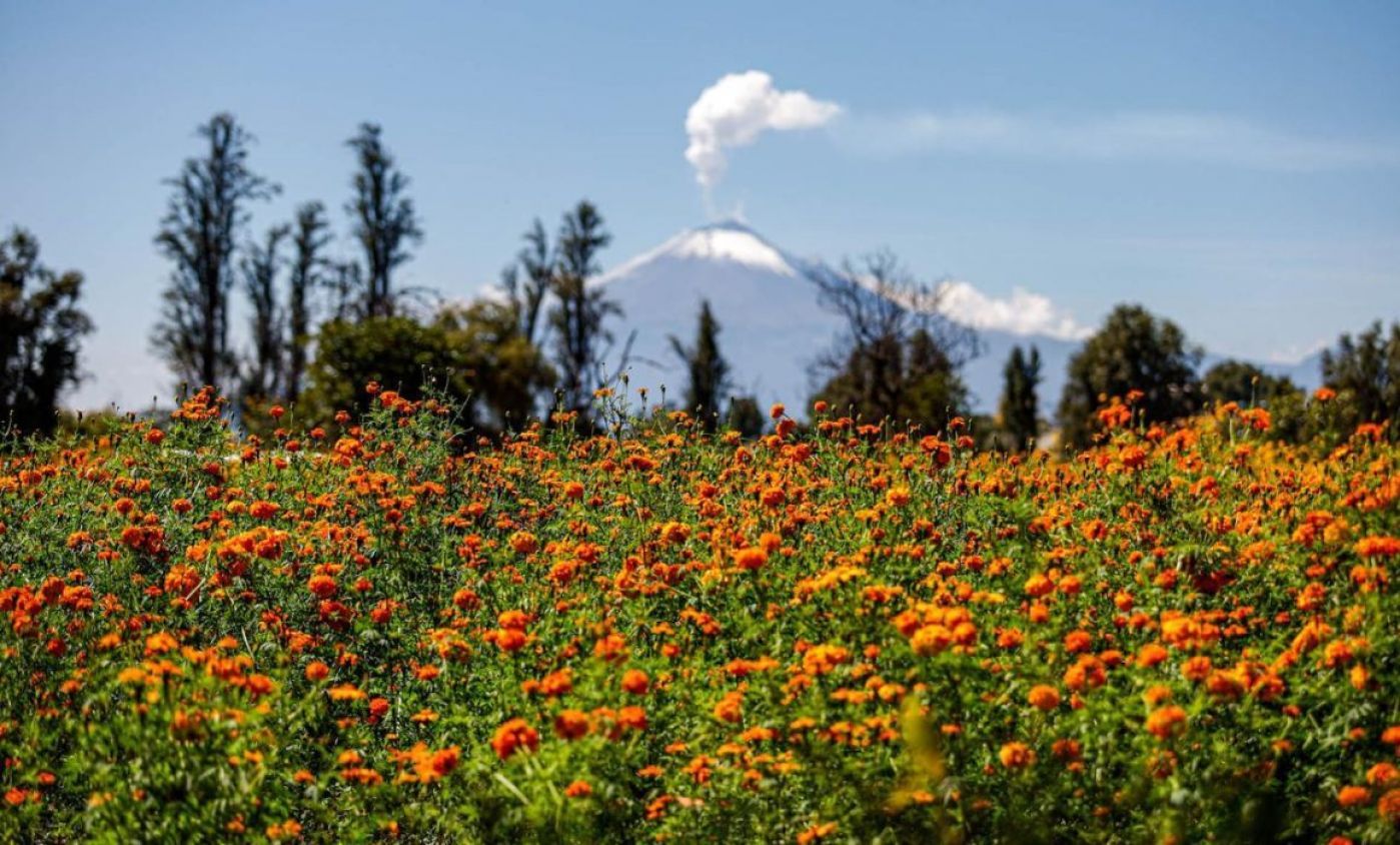 Otoño en Tlaxcala: clima frío, cosechas y flores para Día de Muertos