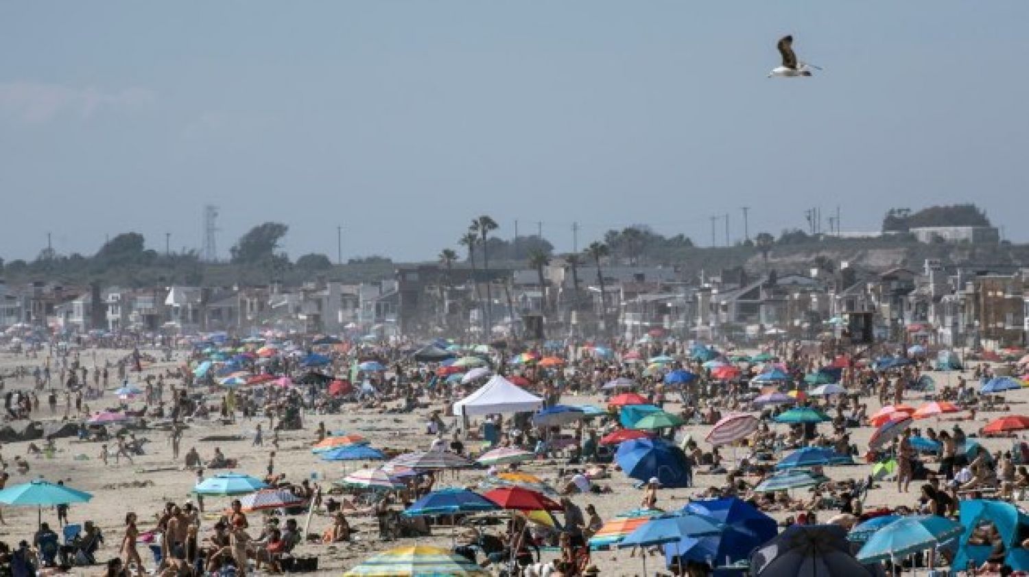Miles de estadounidenses abarrotan playas de California pese a coronavirus