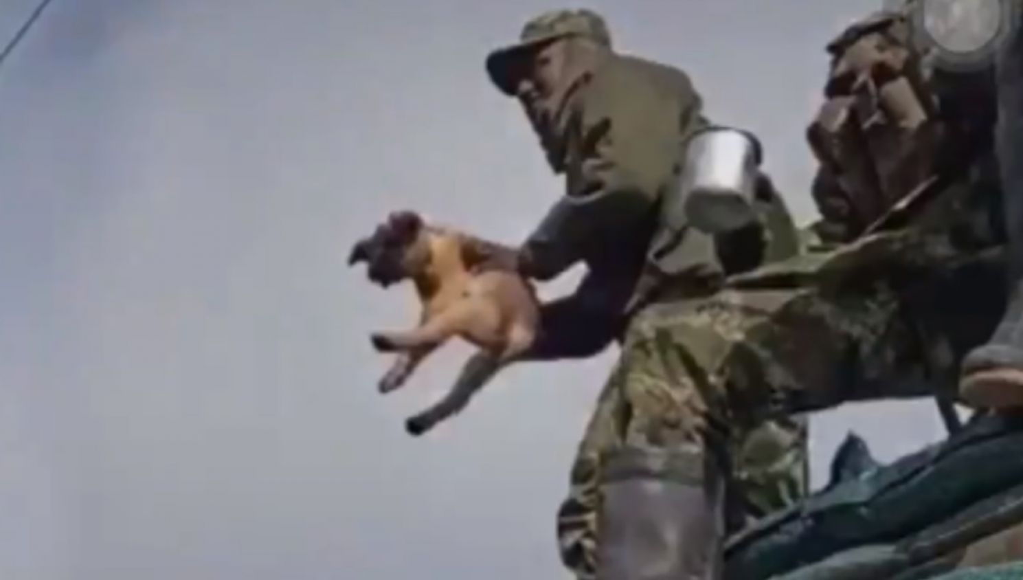 Indignante: Captan a militares maltratando a un perrito “por diversión”