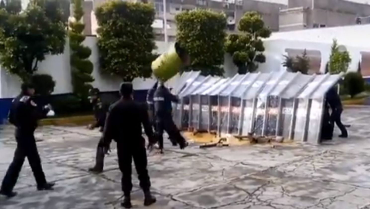 “Sin miedo al éxito, papi”: Viralizan entrenamiento de policías de la CDMX