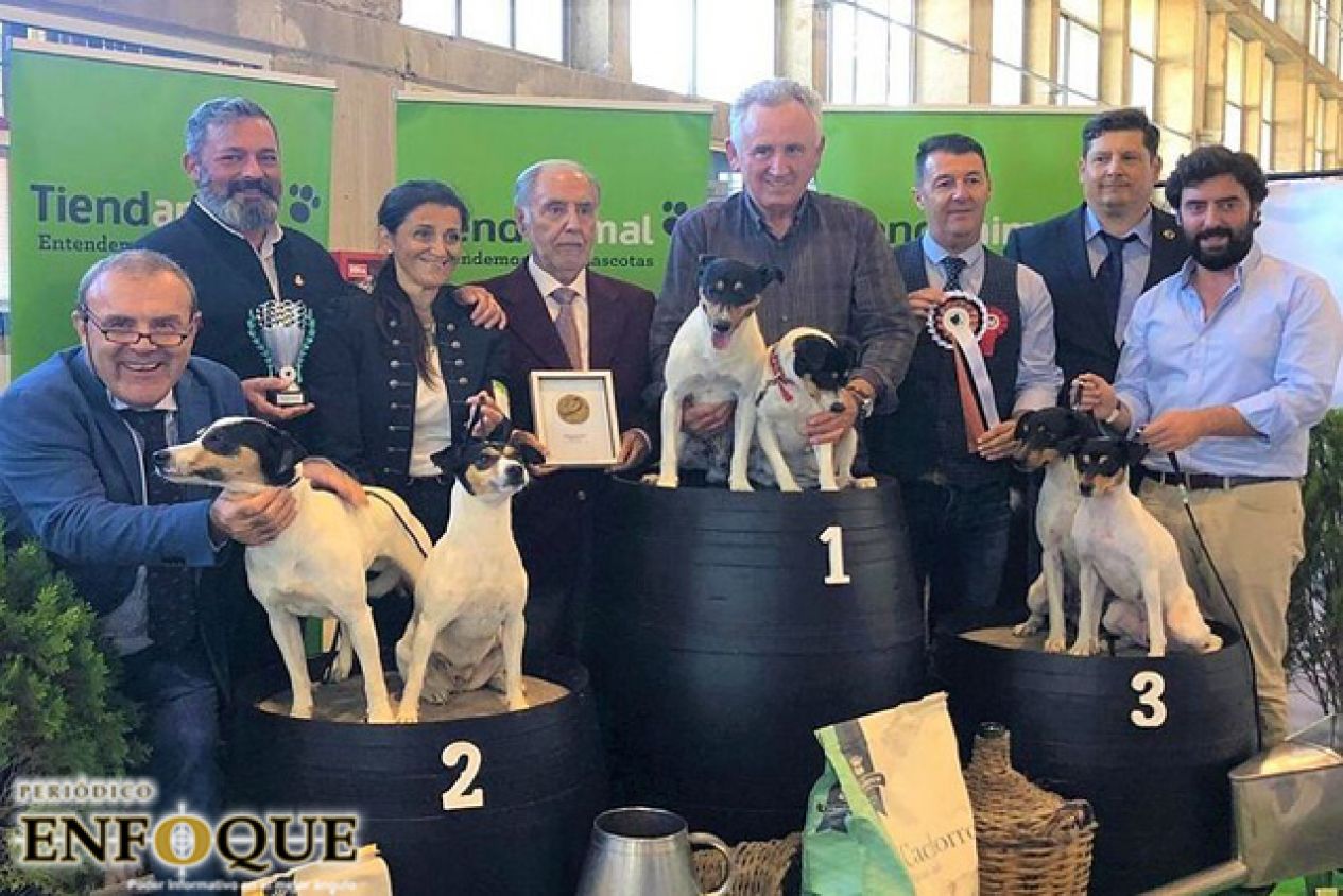 Declaran patrimonio cultural al bodeguero andaluz, perro guardián de las barricas de vino jerezanas