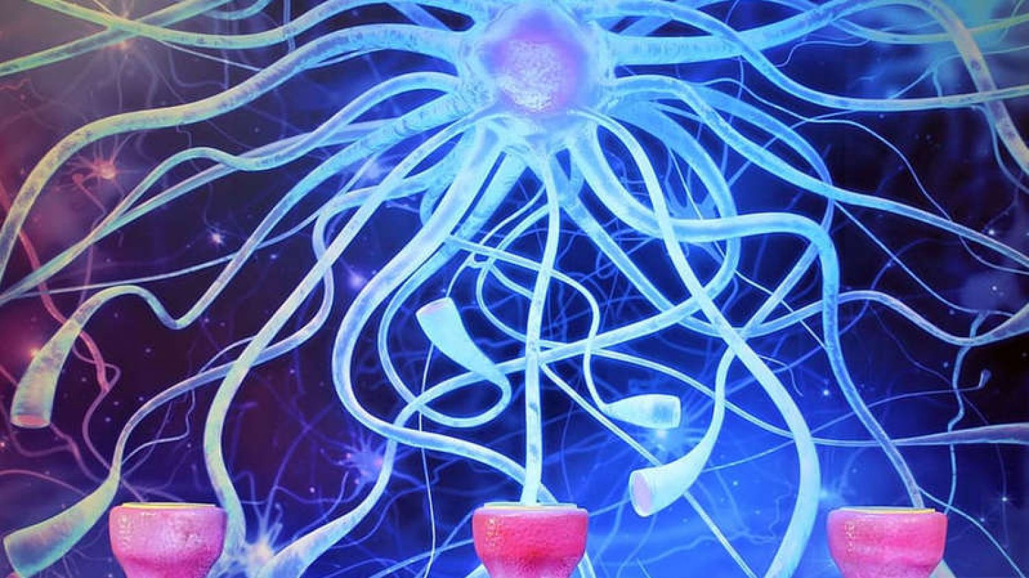 ¿Qué es el síndrome de Guillain-Barré?