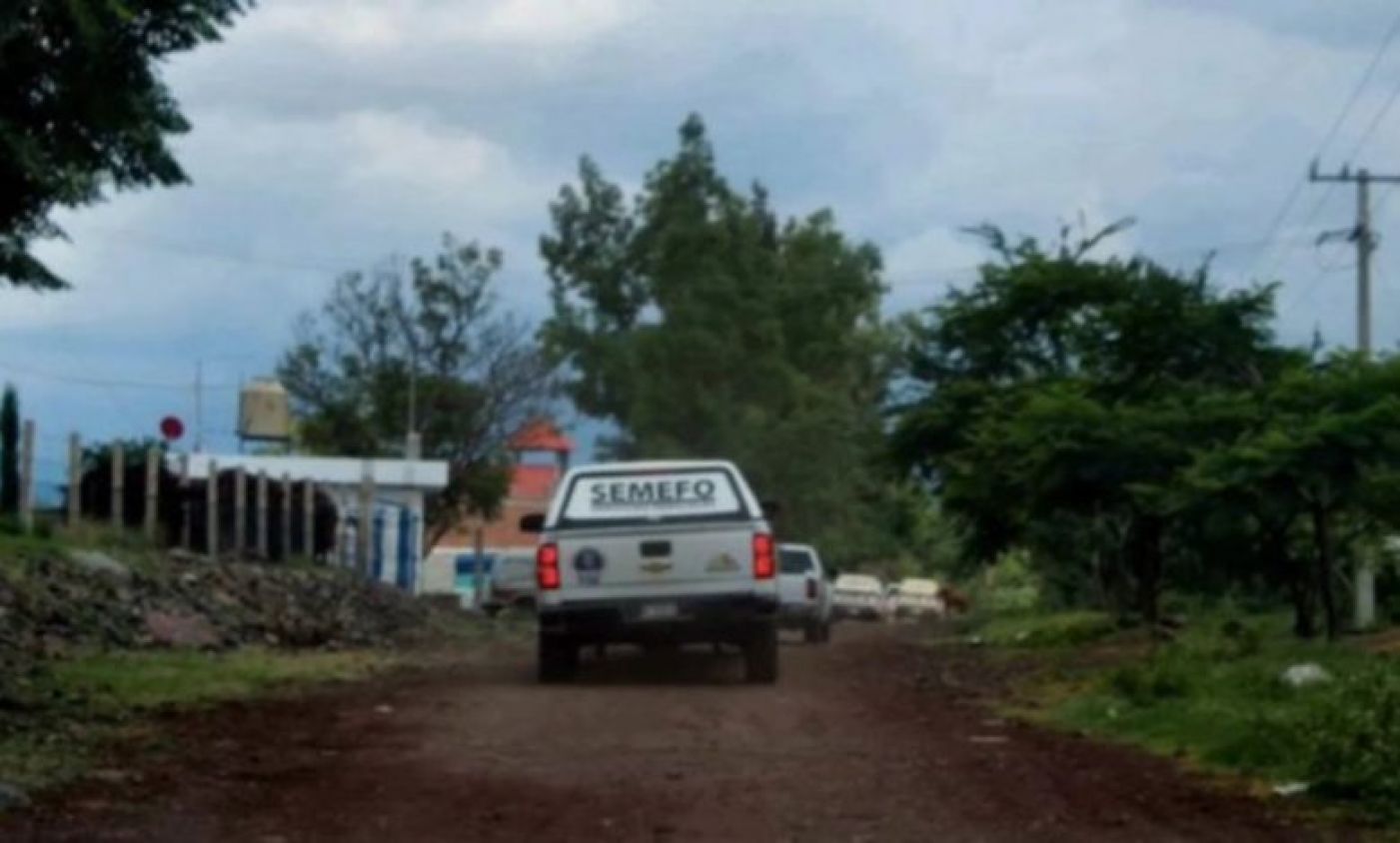 Descubren fosas con restos de al menos 16 víctimas en Michoacán