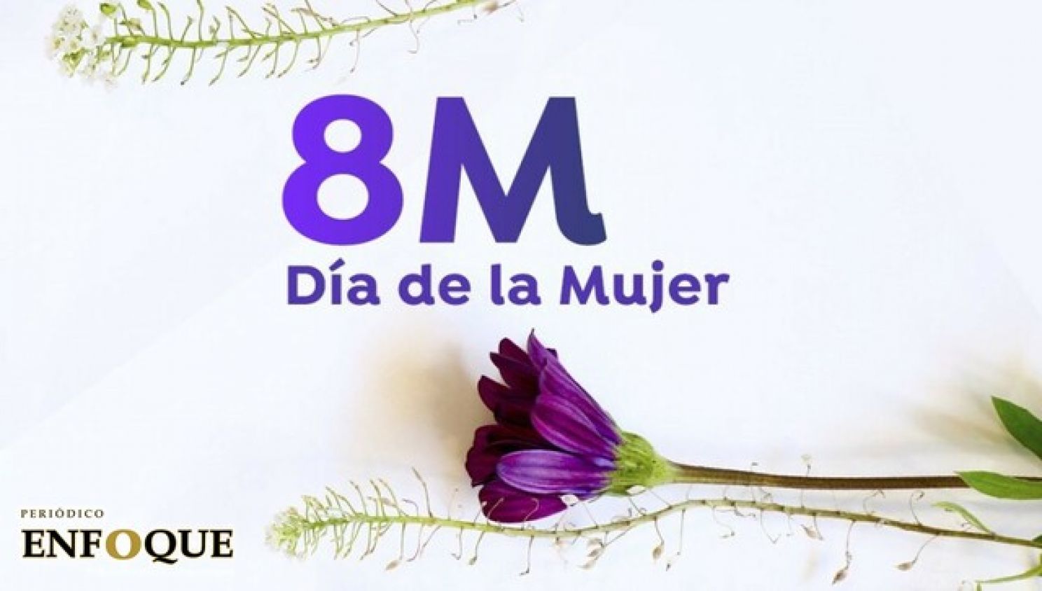 Día Internacional de la Mujer: 6 nuevos libros para el 8M