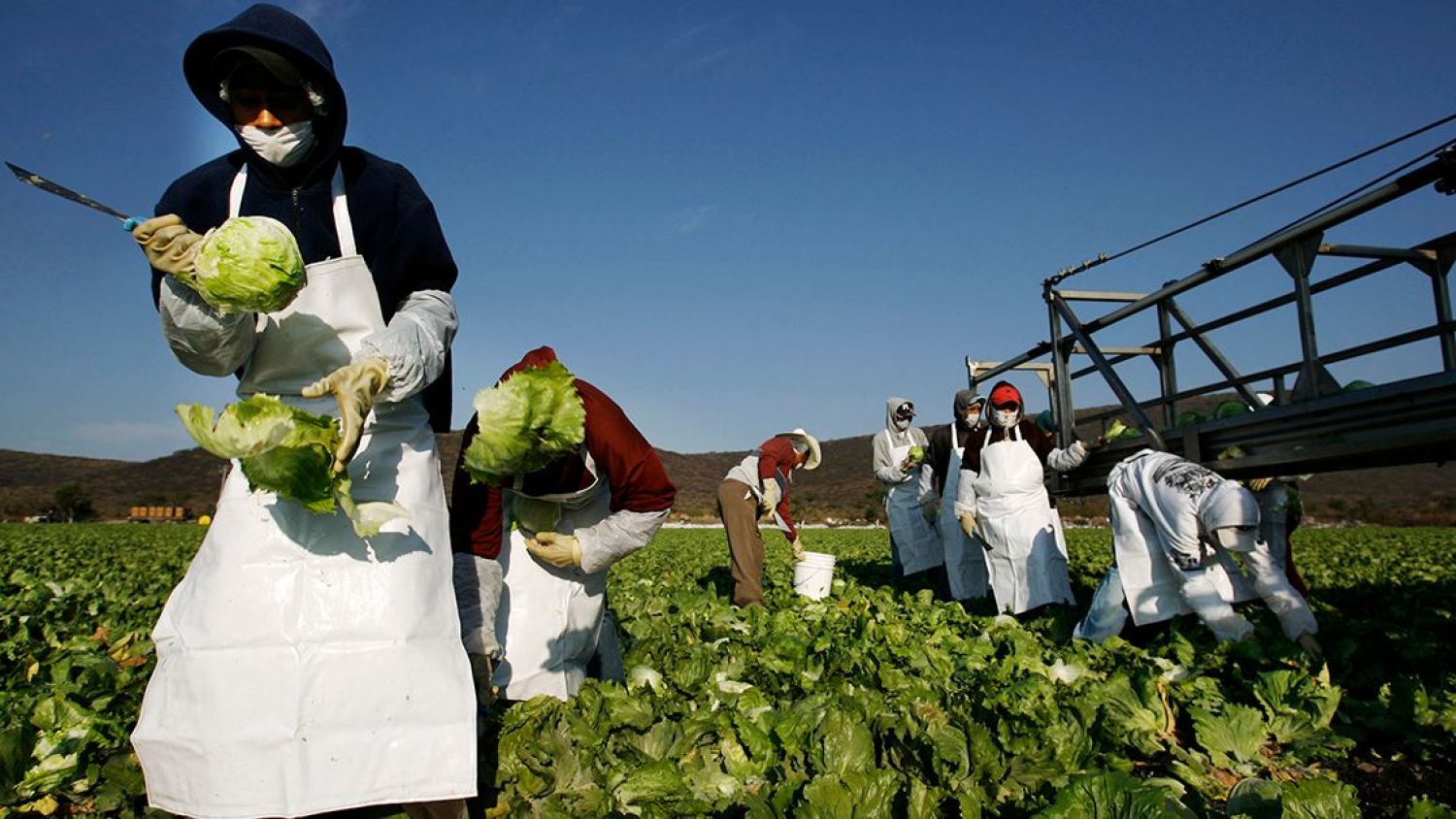Investigación contra agroproductos inquieta a México; a EU, inversión en energía y política agropecuaria