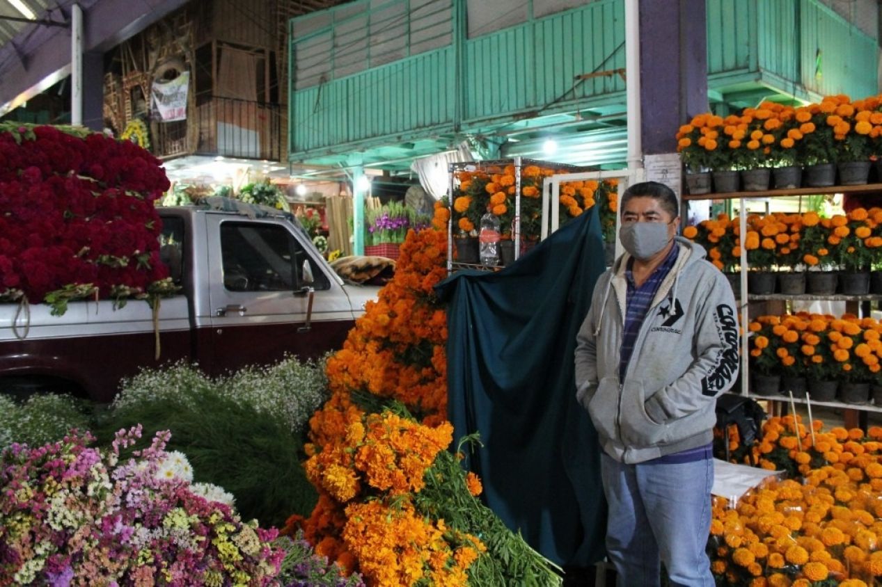 Aumenta 50% venta de flor de cempasúchil y de terciopelo en Puebla, se espera un alza para el fin de semana