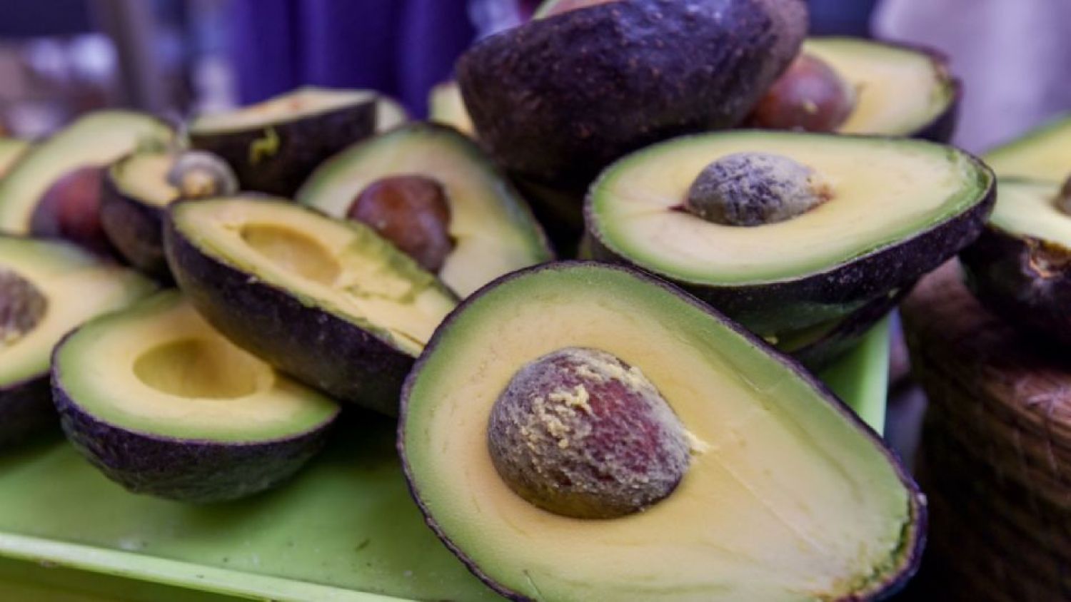 Jalisco exportará aguacate a EU por primera vez el próximo 28 de julio