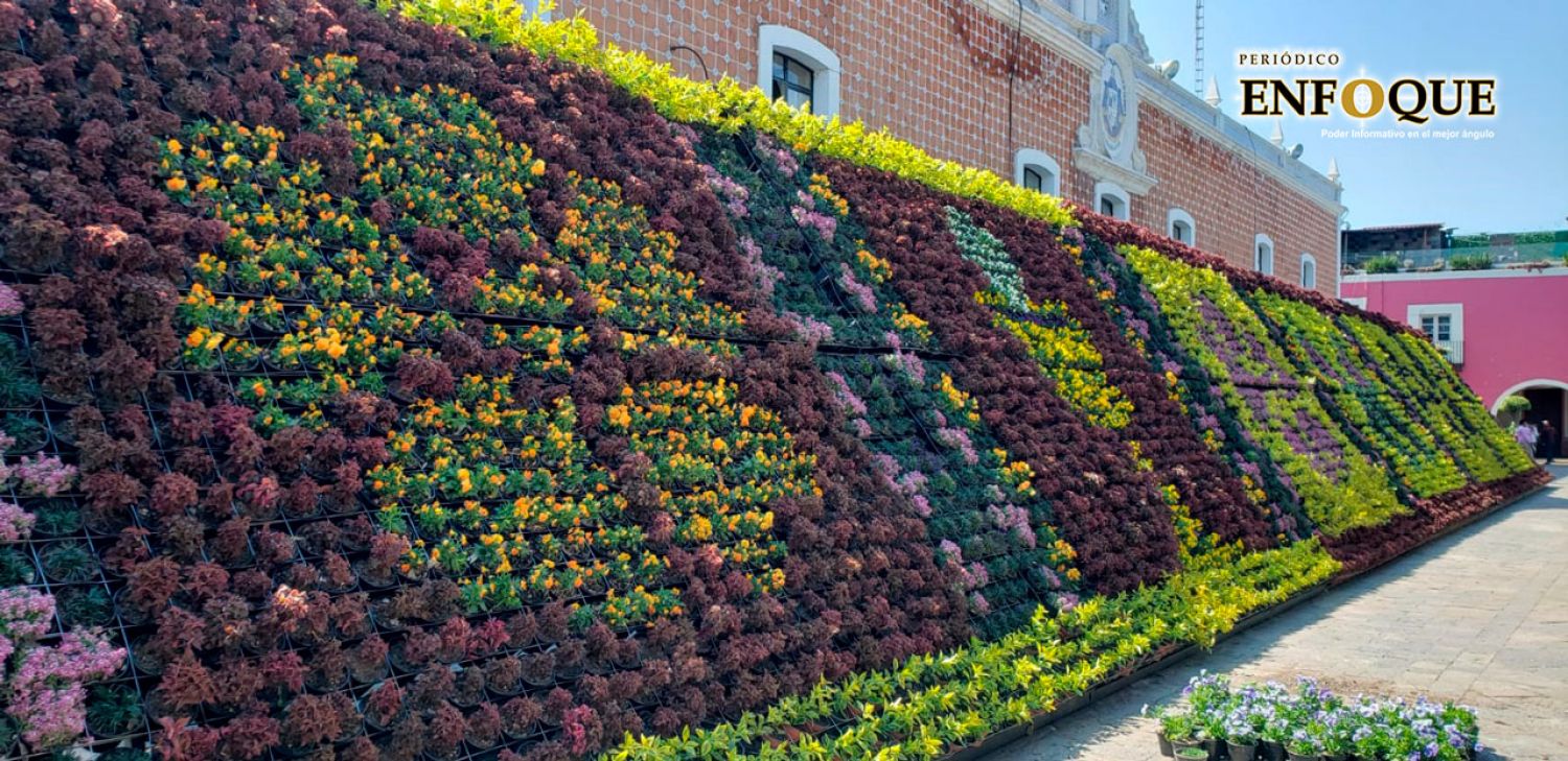 El Ayuntamiento de Atlixco instala tapete floral monumental incluyente