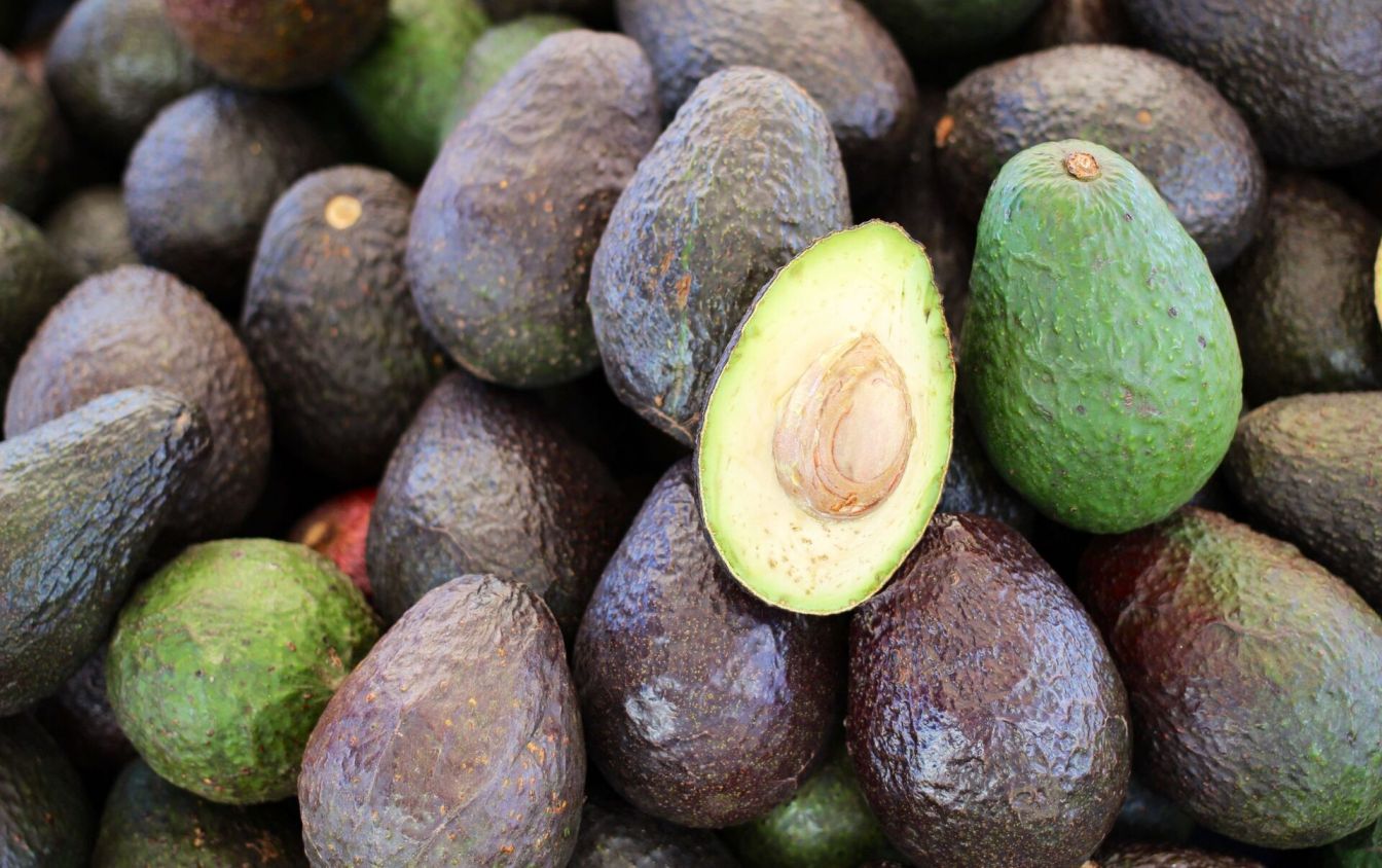 Rumbo al Super Bowl LVII: Dan banderazo inicial a exportación de aguacate michoacano