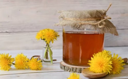 Diente de león: El diurético natural para la retención de líquidos y más