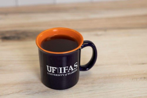 Científicos de UF investigan cómo ofrecerle un “café climáticamente inteligente” 