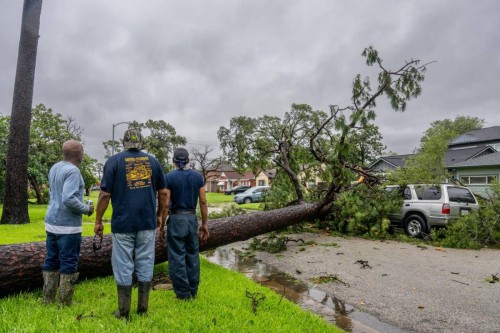 Al menos 8 personas perdieron la vida a causa de “Beryl” en Texas