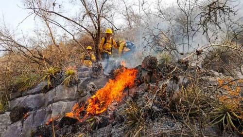 Gobierno de Puebla informan sobre brigadas para combatir incendios 