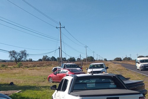 Hombre de la tercera edad muere tras ser atacado por enjambre de abejas, en Ixtenco