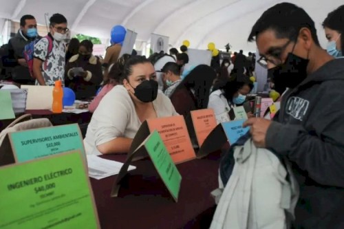 Desocupación e informalidad, los vicios del empleo en Tlaxcala 