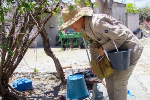 Puebla sin nuevos casos de dengue; acumulados en 4,271, reporta Salud