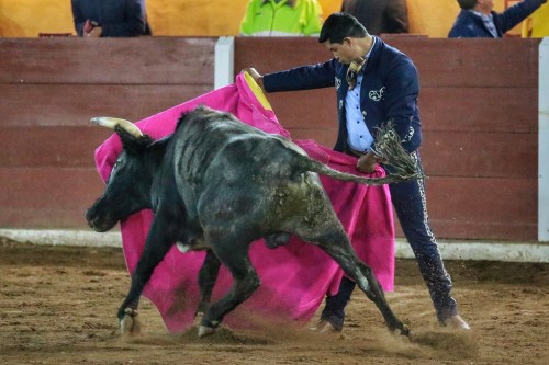 La Feria de Tlaxcala 2024: Un Encuentro Cultural con la Tauromaquia y la Pasión Taurina