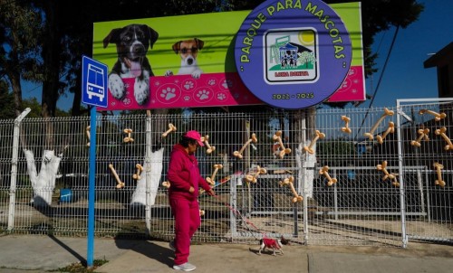 ¡Nuevo parque para perros en Loma Bonita! Un espacio seguro y divertido