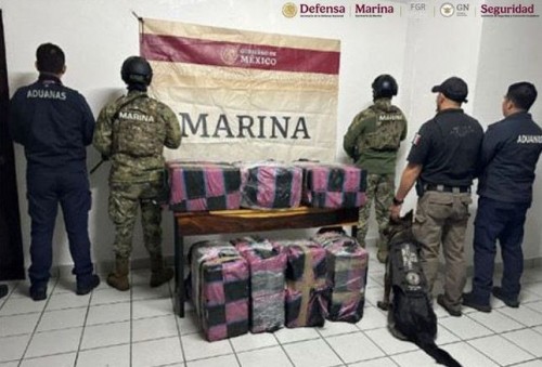 Operativos del Gabinete de Seguridad: Detenciones y aseguramientos clave