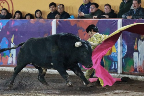 Diego Silveti corta oreja y vive contrastes en la Corrida de Día de Muertos