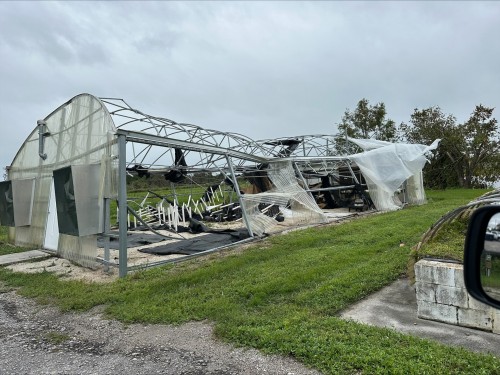 Agricultores afectados por el huracán Milton: completa la encuesta UF/IFAS