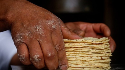 Sader busca reducir el precio de la tortilla un 10% 