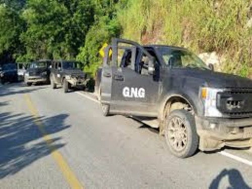 Despliegue militar en Tecpan de Galeana: capturan a cinco presuntos criminales del GNG tras enfrentamiento