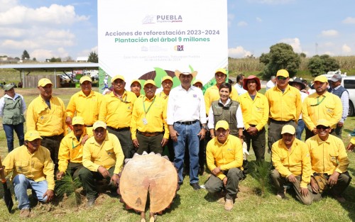 Puebla alcanza 9 millones de árboles plantados para cuidar el medio ambiente