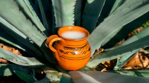 El Pulque: Patrimonio Cultural Inmaterial de la Ciudad de México