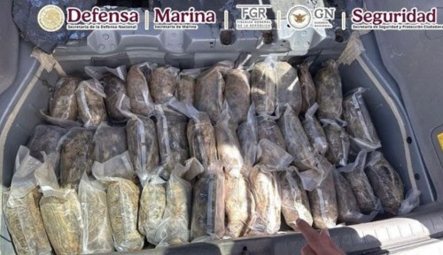 Coordinación federal asegura droga en carreteras de Durango y Coahuila