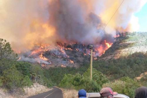 Detienen a sospechosos por incendios en Puebla y Tlaxcala: “Son ecocidas”