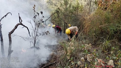 Tlaxcala impulsa reforma para sancionar daños ambientales con mayor rigor