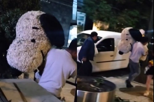Indignación en redes: roban figura floral de Snoopy en Polanco