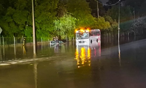 Intervención inmediata de la Policía Auxiliar