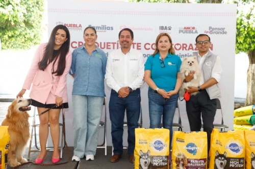 Jornada en favor del bienestar animal