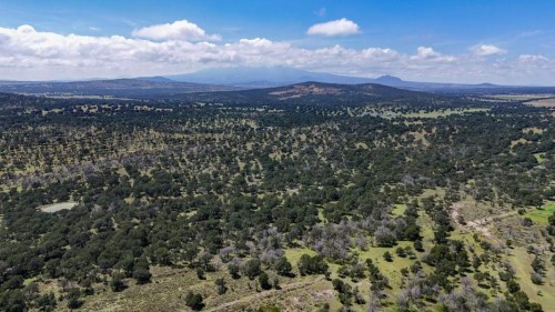 Tlaxcala sorprende al país con un avance ambiental histórico y sin precedentes