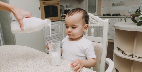 ¿Cuándo es el momento adecuado para dar leche de vaca?