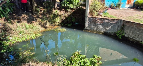 Armando Aguirre apuesta por la sustentabilidad hídrica: Hoy toco limpieza de Ameyal Axochitecatlán