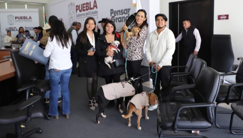 Una campaña que busca salvar vidas en invierno