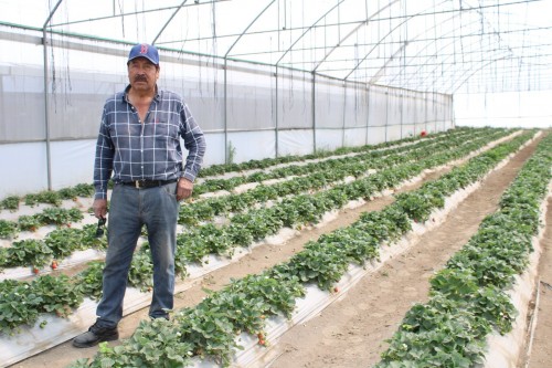 Más de 23 mdp en créditos Fomtlax fortalecen MiPyMEs de Tlaxcala
