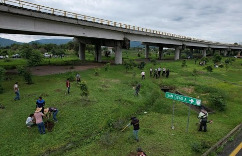 Reforestan puente Cantarranas con más de 100 árboles