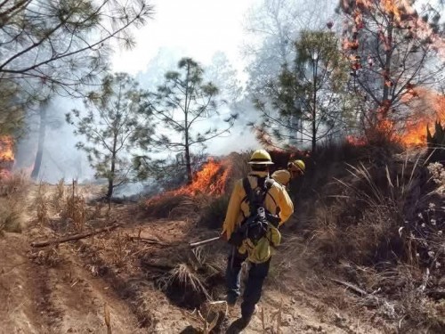 Ante la omisión del gobierno, Atltzayanca se une contra incendios forestales