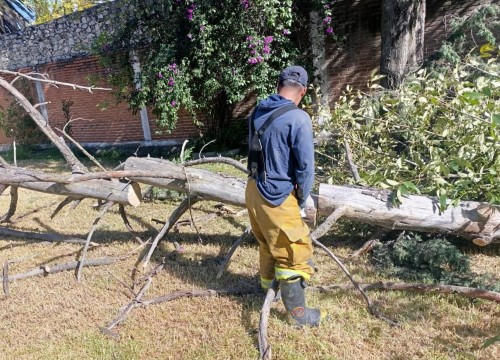 Gobierno de San Pedro Cholula responde ante afectaciones por el Frente Frío No. 13