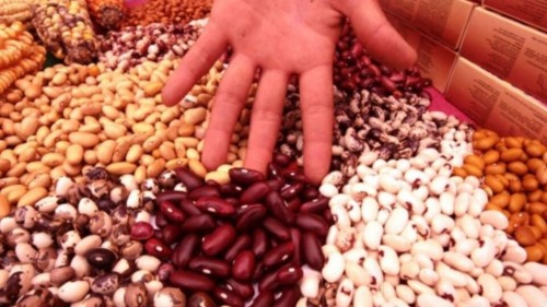 Qué encontró Profeco sobre los frijoles enlatados