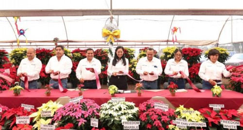 Inicio de la temporada más esperada en Atlixco